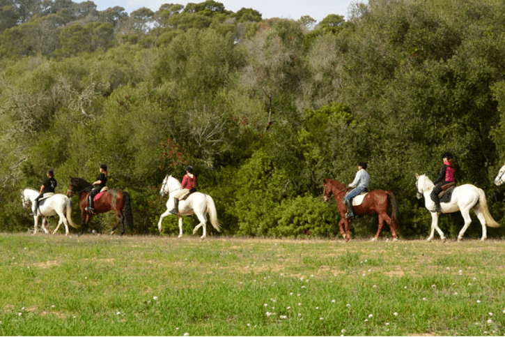 Horse-riding in Mallorca (Majorca) | SeeMallorca.com