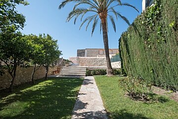 A sunny garden with a stone path leading to stairs, featuring a large palm tree, green lawn, small trees, hedges, and stone buildings under a clear blue sky.