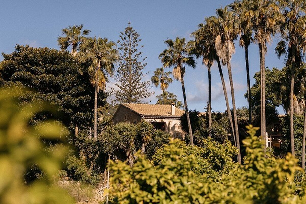 A stone house with a tiled roof peeks through lush green foliage and numerous tall palm trees under a bright blue sky.