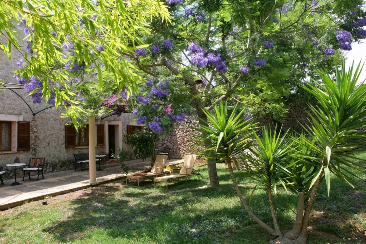 A charming stone house with a patio amidst a lush garden, featuring a vibrant purple-flowering tree, yucca plants, and sun loungers.