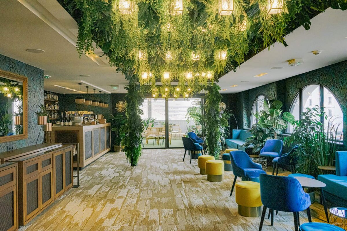 A room with lots of chairs and plants hanging from the ceiling