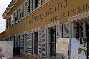 Grasse