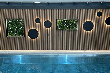 A swimming pool with a wooden wall and circles on it