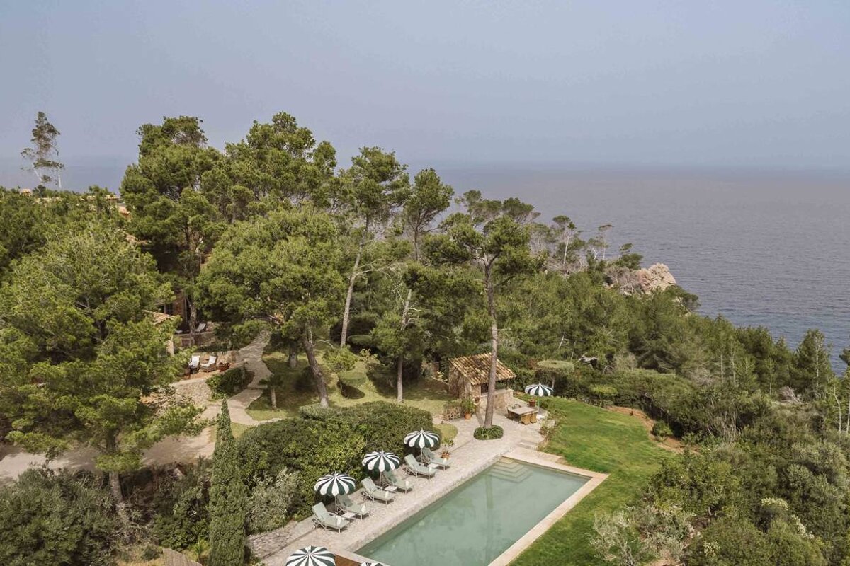 An aerial view of a large swimming pool surrounded by trees