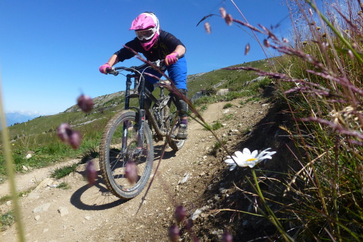 a mountain biker on a trail with some flowers