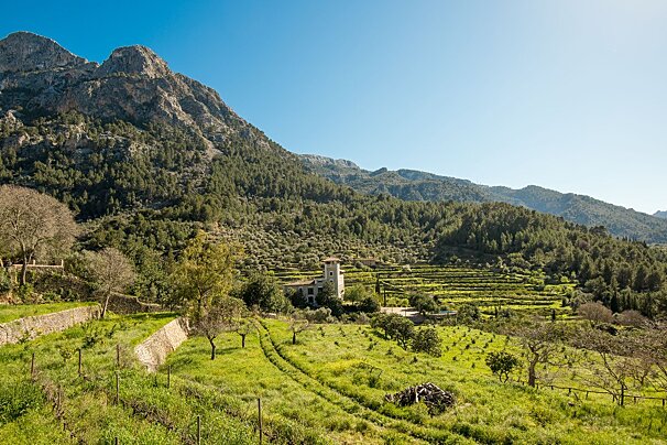 a view over the gully of Biniaraix in soller