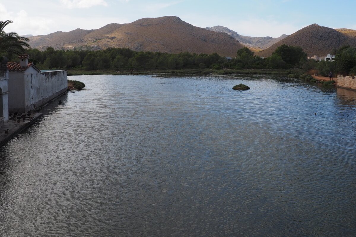 a lake in pollensa mallorca