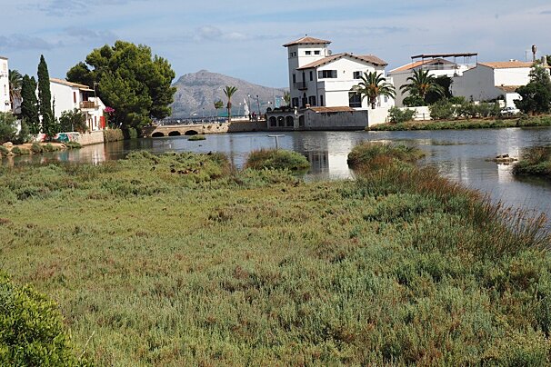 La Gola, small wetlands in Puerto Pollenca