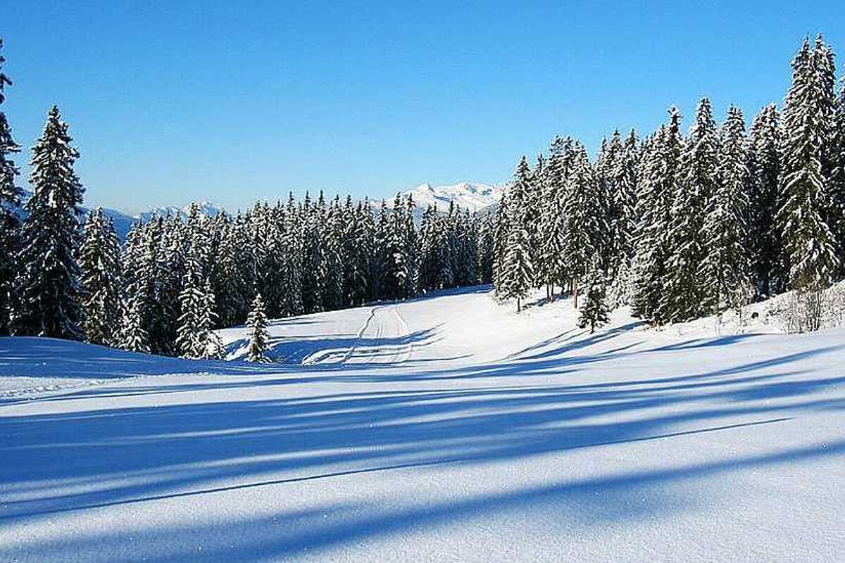 Ski de fond or cross-country ski pistes