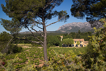 Domaine Le Loup Bleu Vineyard, Sainte Victoire