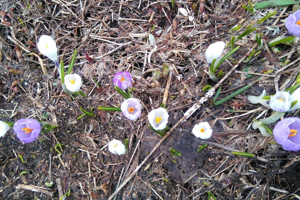 Recce The Route : Marathon du Mont Blanc