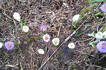 Recce The Route : Marathon du Mont Blanc