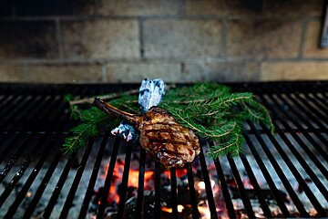 A steak is cooking on a grill with pine branches