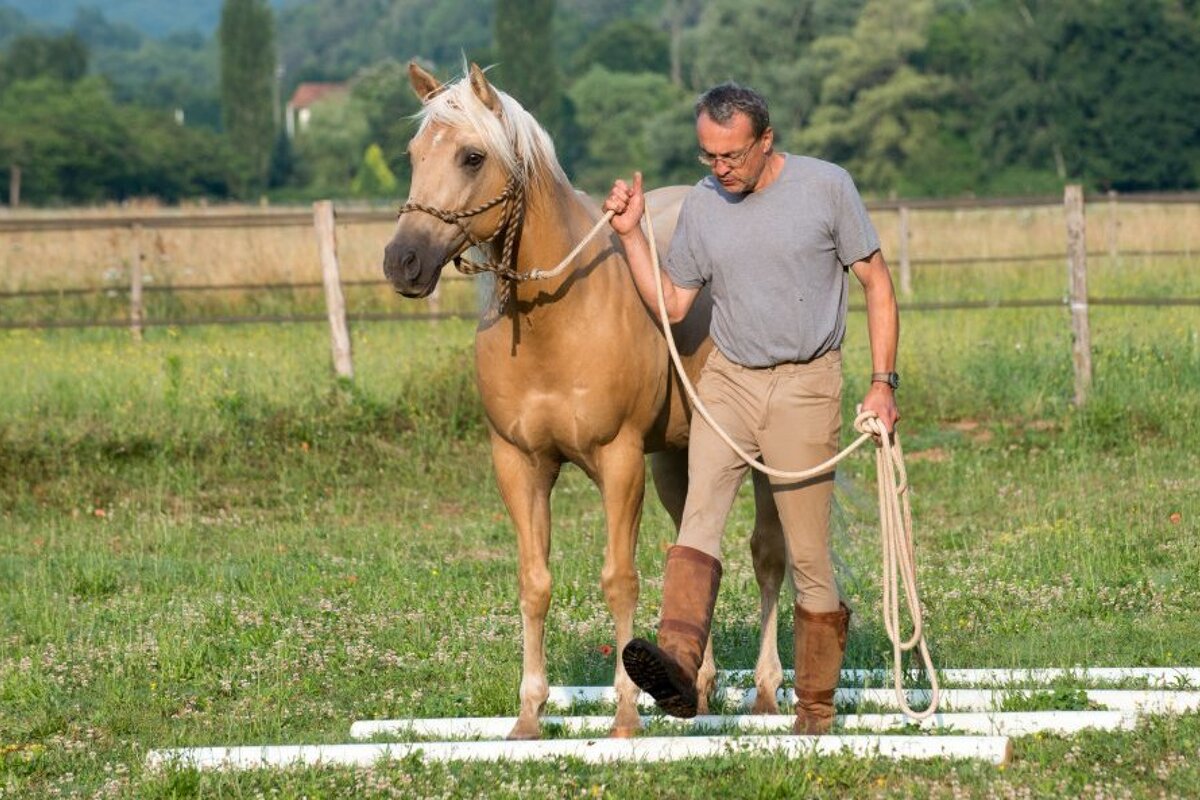 Domaine des Eymaries Horse Riding, Les Eyzies-de-Tayac horse riding