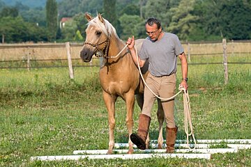 Domaine des Eymaries Horse Riding, Les Eyzies-de-Tayac horse riding