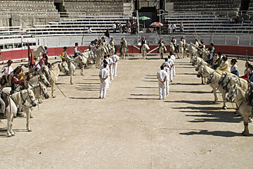 Fete des Gardians, Avignon
