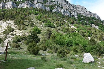 A mountain covered in trees with a red pole in the foreground