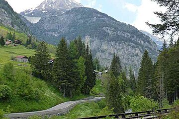 a train track and a road surrounded by trees