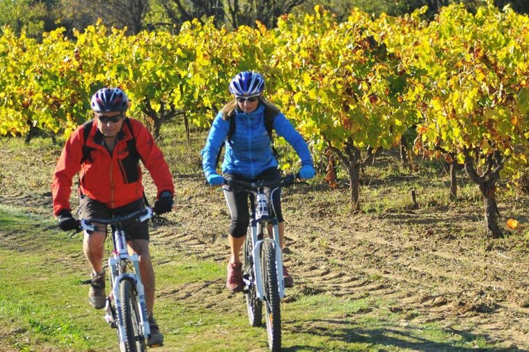 What's on in Provence November 2018