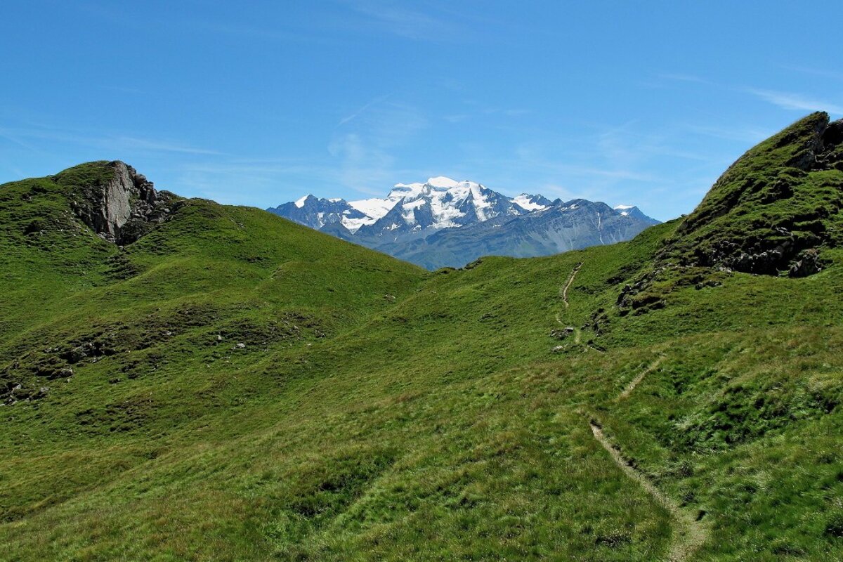 green mountains in summer