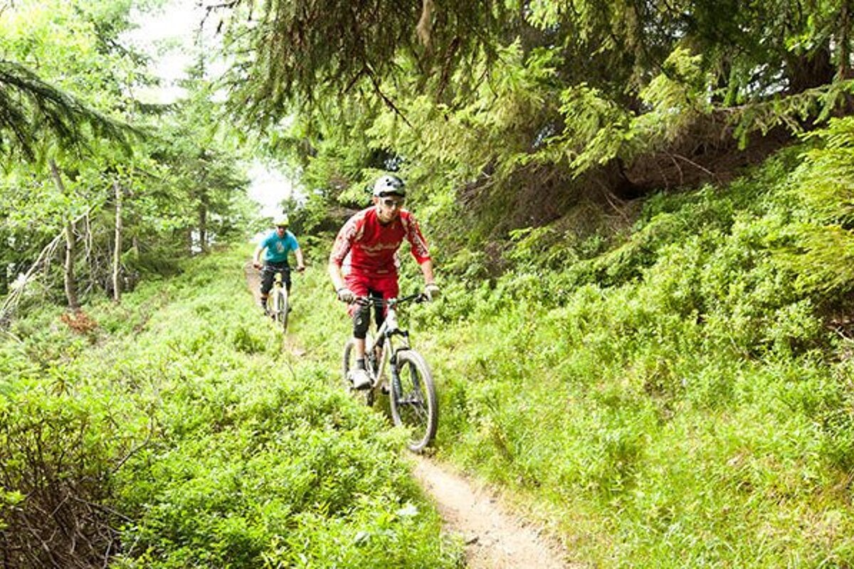 Guided Mountain Biking Tour, Morzine