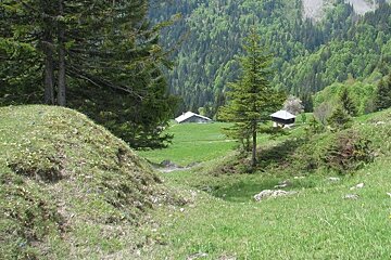 The Golèse Refuge in summer on green fields
