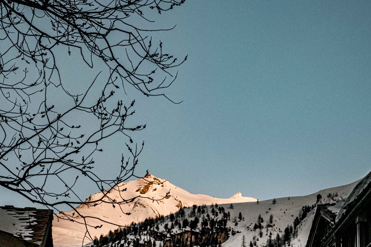 A snowy mountain with a tree in the foreground