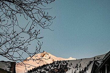 A snowy mountain with a tree in the foreground