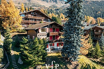 An aerial view of a swiss chalet with the vip logo in the foreground