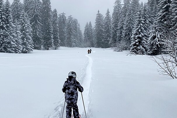 fresh powder skiing through the trees in Morzine
