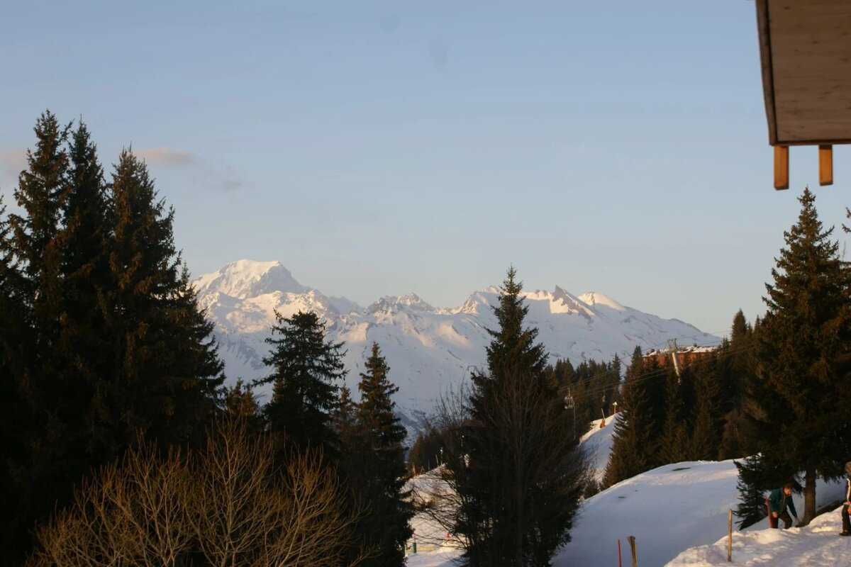 A view of a snowy mountain range with trees in the foreground