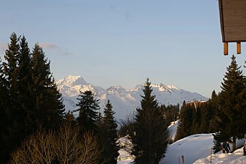 A view of a snowy mountain range with trees in the foreground