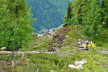 A tractor is driving down a dirt road in the woods