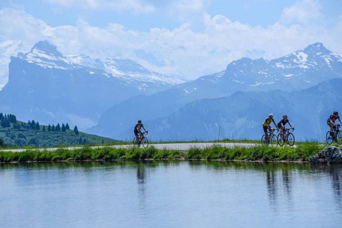 What's on in  August 2018