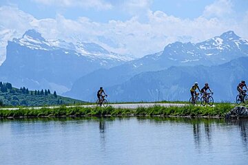 What's on in  August 2018