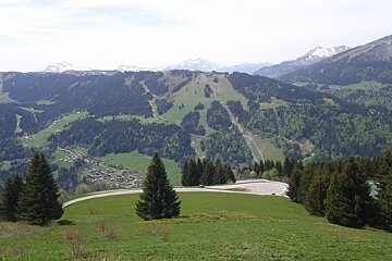 A view of a valley with trees and mountains in the background