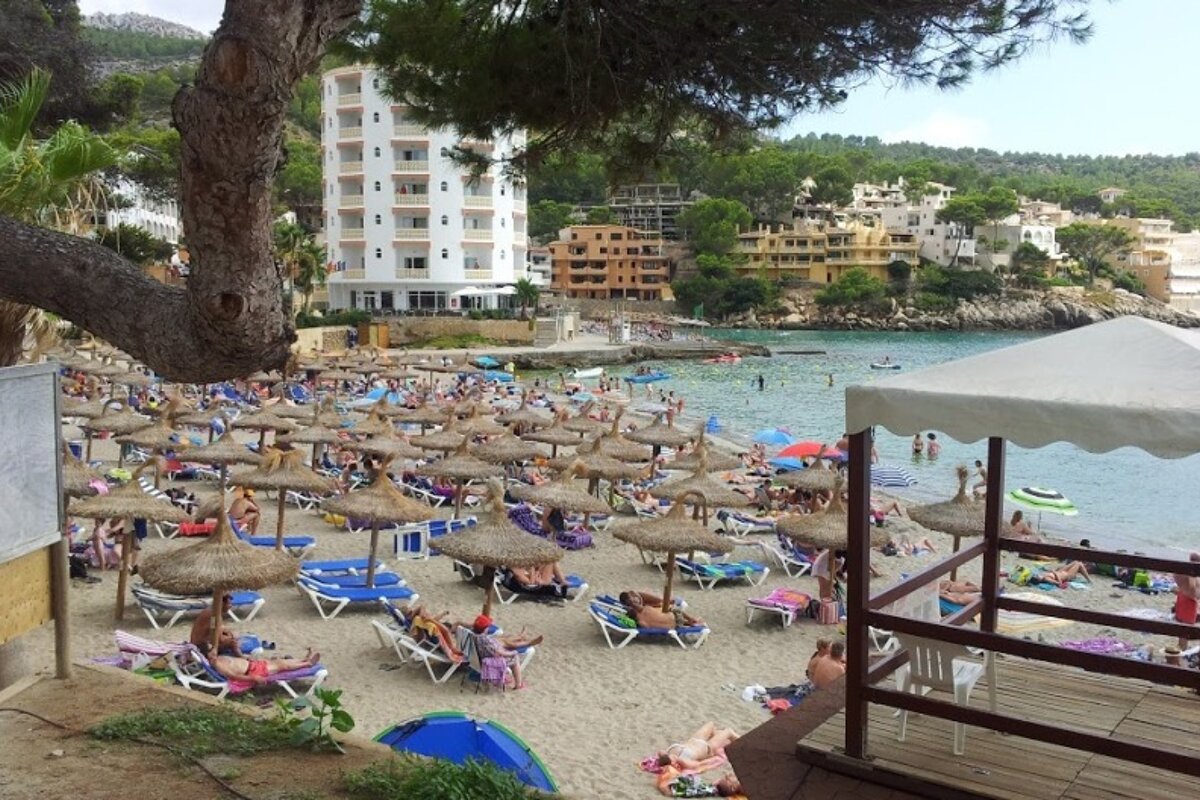 lots of reed parasols on the beach with people sunbathing
