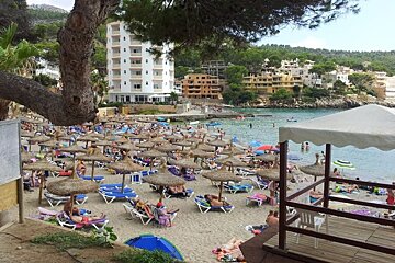 lots of reed parasols on the beach with people sunbathing