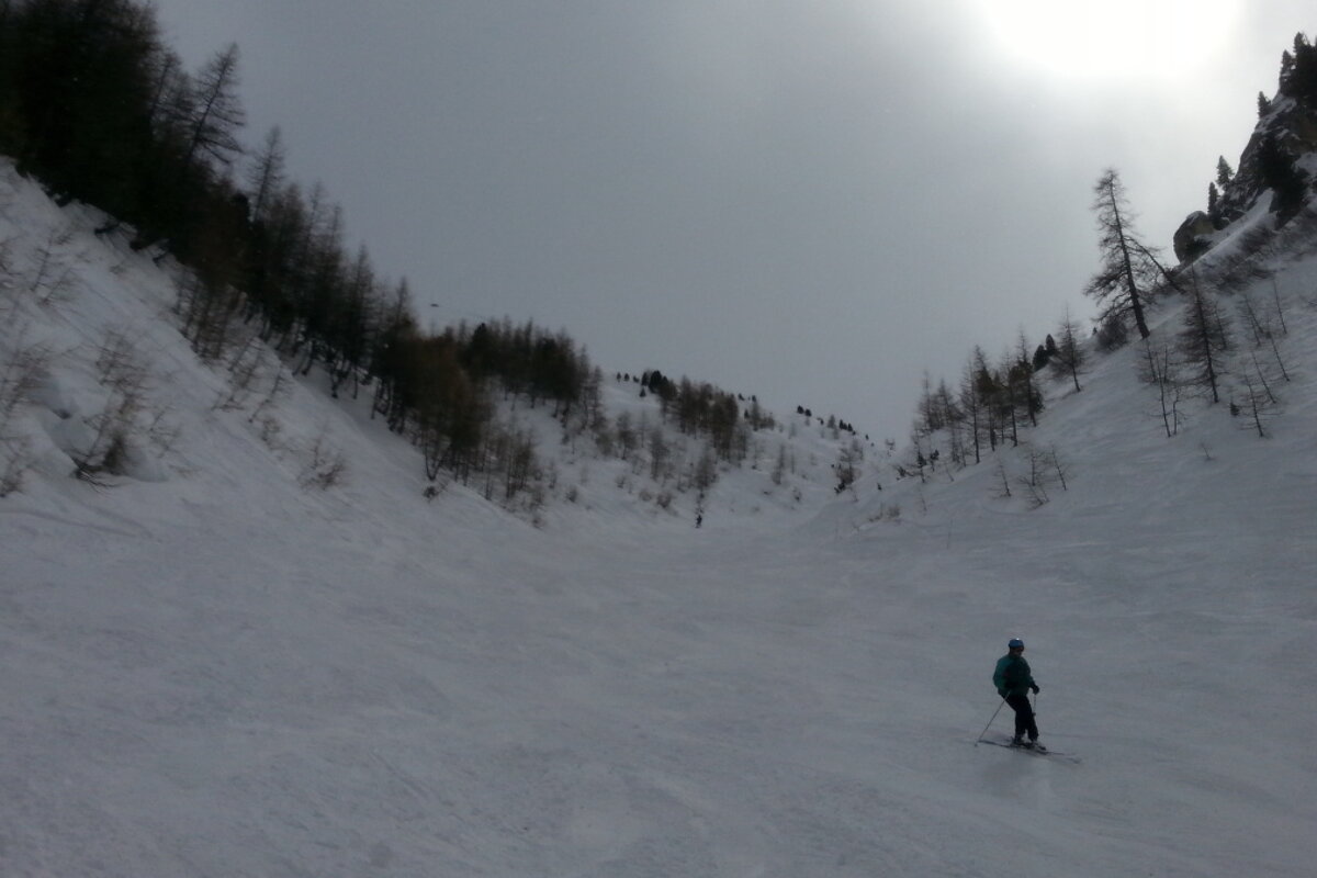 a single skier in a bowl surrounded by trees