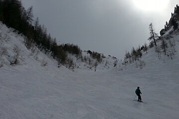 a single skier in a bowl surrounded by trees