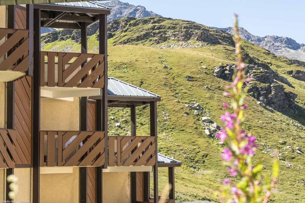 A building with a mountain in the background and a flower in the foreground