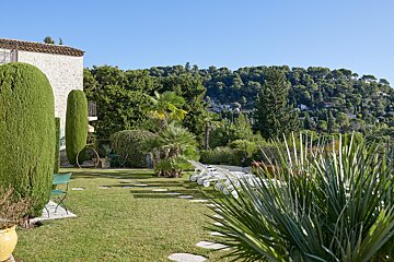 A lush green garden with palm trees and shrubs