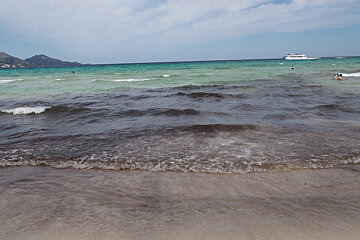 seaweed in the sea in mallorca