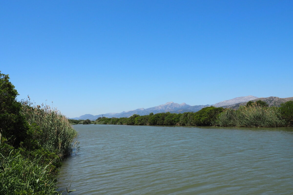 a river leading into a mallorcan nature reserve