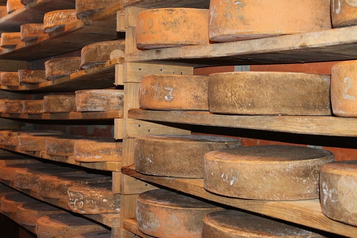 Several pieces of cheese are stacked on wooden shelves
