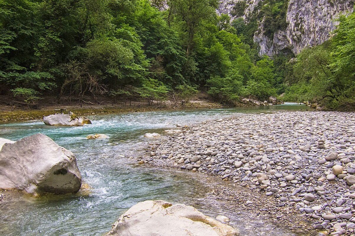 A river flowing through a rocky area with trees in the background