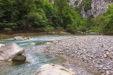 A river flowing through a rocky area with trees in the background