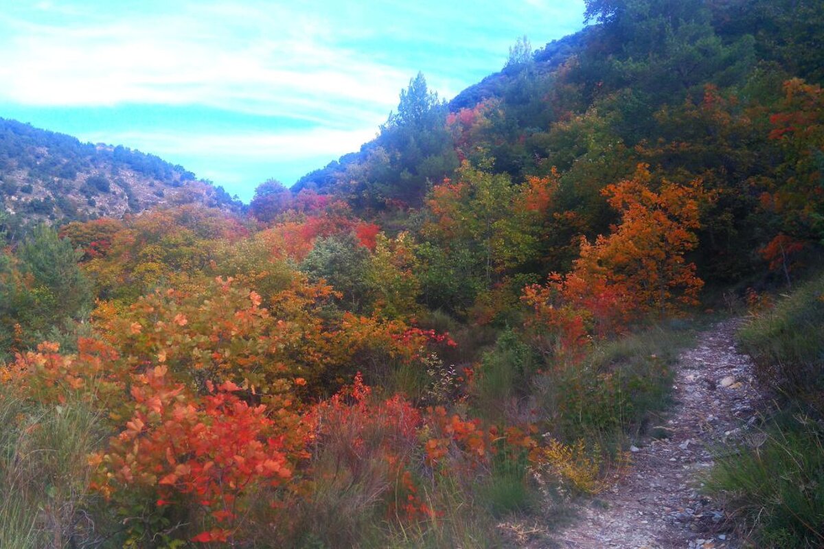 AS Trail de Gorbio, Mountain Marathon