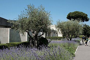 Marc Chagall National Museum, Nice
