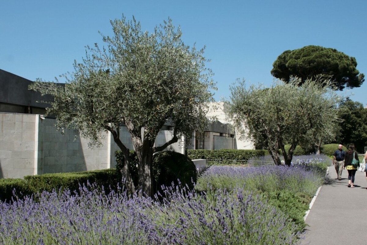 Marc Chagall National Museum, Nice